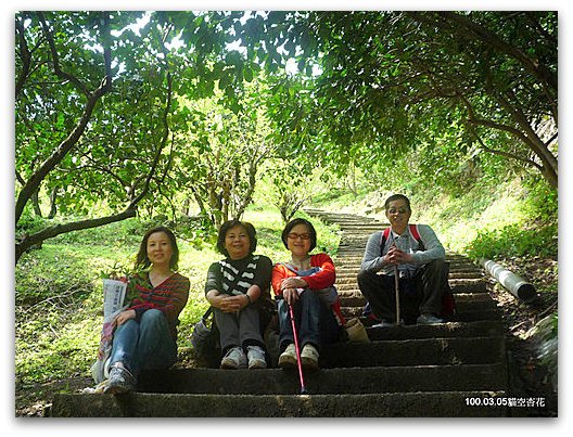 台北文山 貓空賞杏花