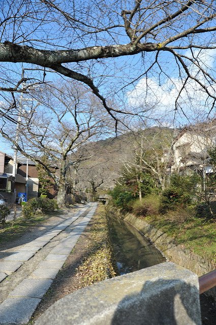 日本-自由行-京都-自行車-哲學之道