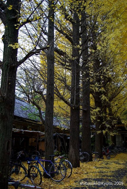 20091129_Kyoto-216_京大吉田寮_1.JPG