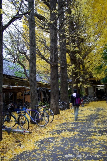 20091129_Kyoto-220_京大吉田寮_1.JPG