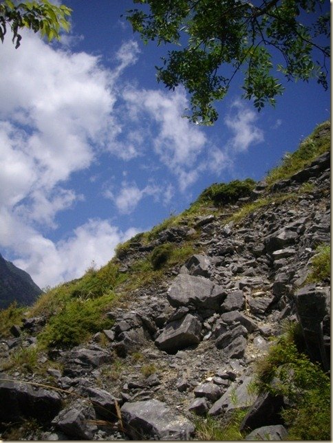 IMGP0117