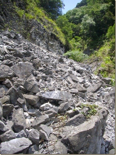IMGP0164