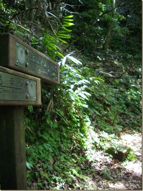 IMGP0168