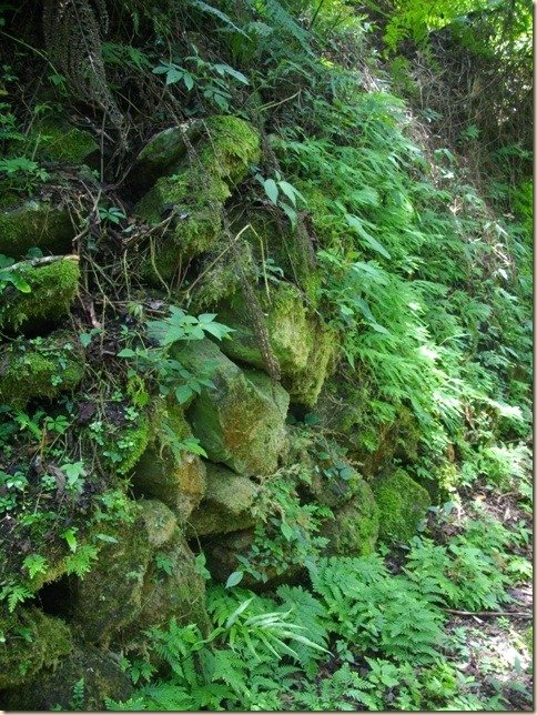IMGP0169