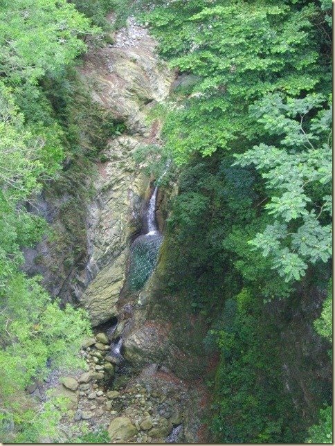 IMGP0298