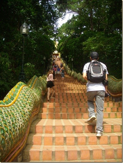 複製 -IMGP0140