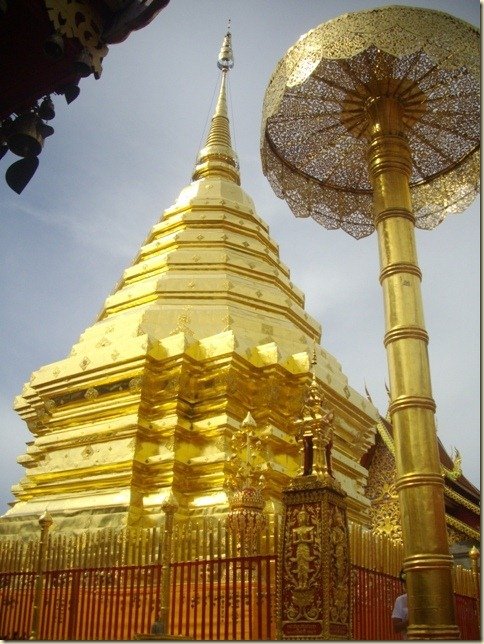 複製 -IMGP0141