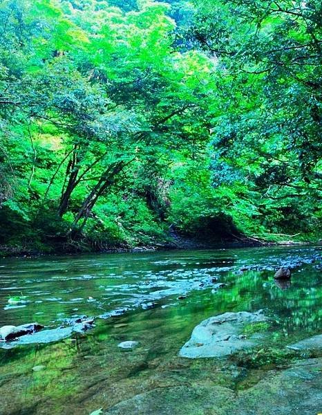 君津市 濃溝瀑布·龜岩洞窟 龜山湖