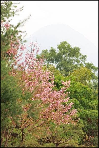 東埔沙里仙渡假村_047.jpg