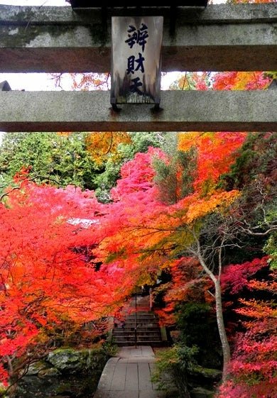 紅葉穴場 毘沙門堂門跡 ​​​​​​​鍬山神社  光明