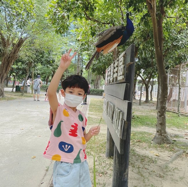 台南親子旅遊攻略｜三個必去的戶外和室內景點:頑皮世界野生動物