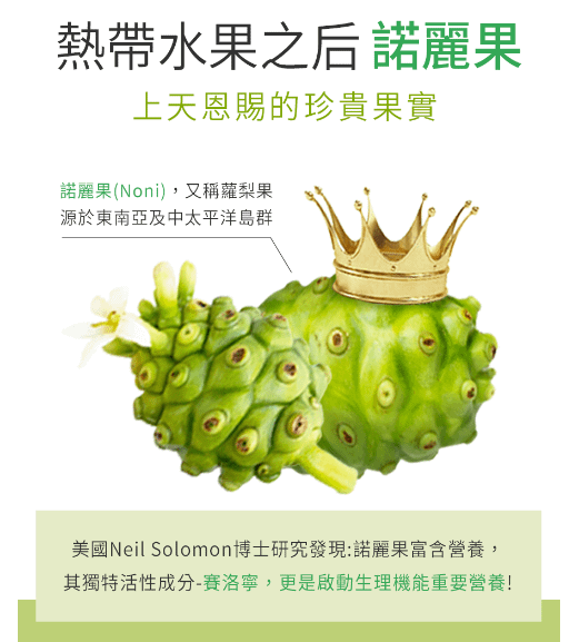 諾麗果是什麼