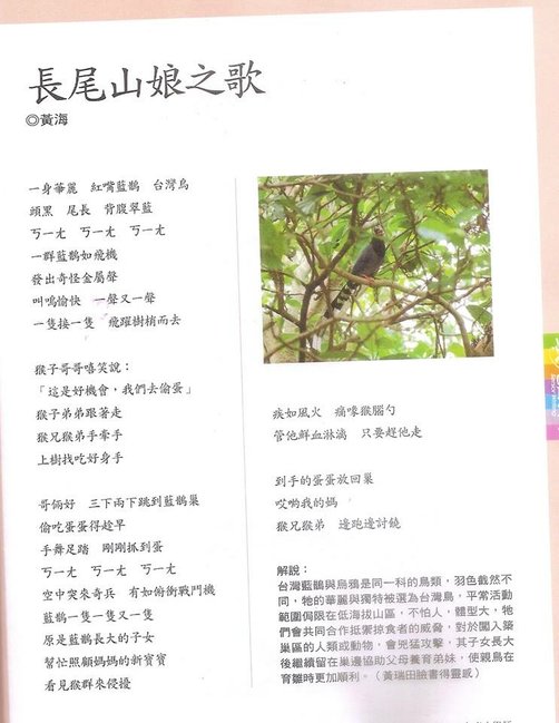 14681575_10205569344711513_1717430891279314397_n.jpg - 刊物-科學童話/插圖封面