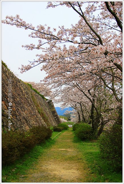篠山城跡41.jpg
