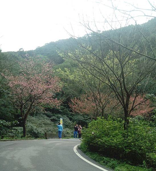 未命名7.jpg
