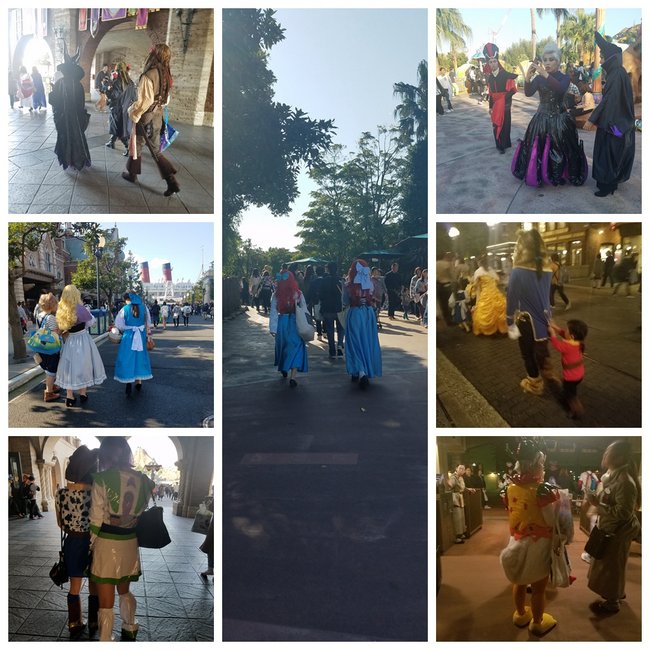 TDL_171026_4.jpg