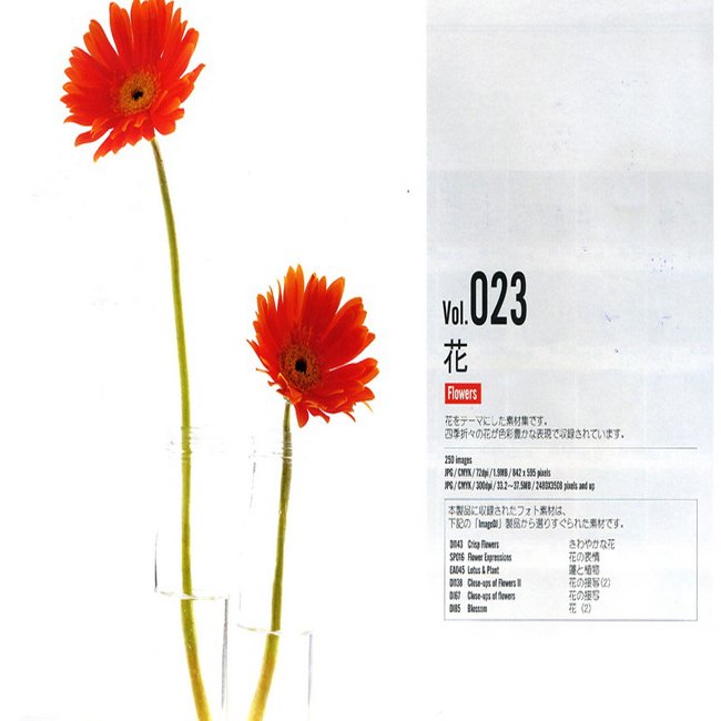 描述: http://buy.yahoo.com.tw/res/gdsale/st_pic/3838/st-3838087-1.jpg?u=20121004141947