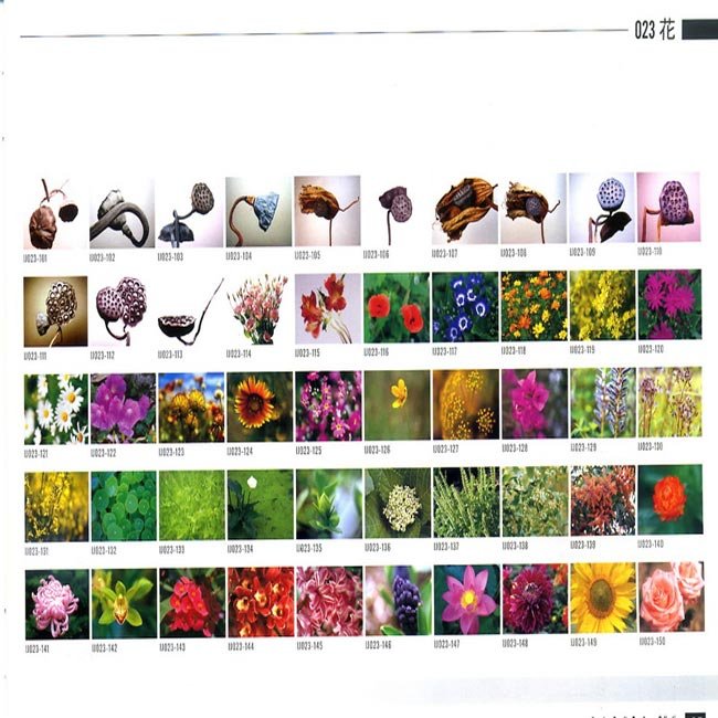 描述: http://buy.yahoo.com.tw/res/gdsale/st_pic/3838/st-3838087-4.jpg?u=20121004141947