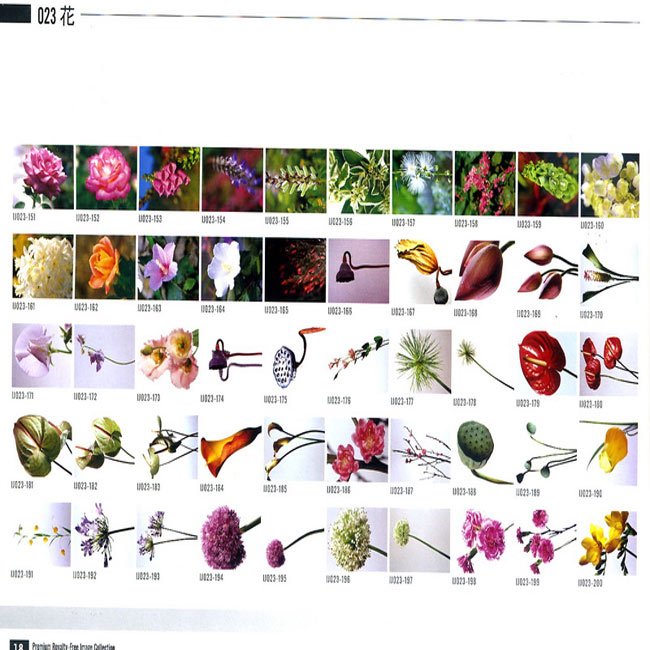 描述: http://buy.yahoo.com.tw/res/gdsale/st_pic/3838/st-3838087-5.jpg?u=20121004141947