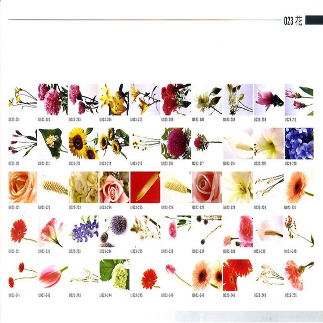 描述: http://buy.yahoo.com.tw/res/gdsale/st_pic/3838/st-3838087-6.jpg?u=20121004141947