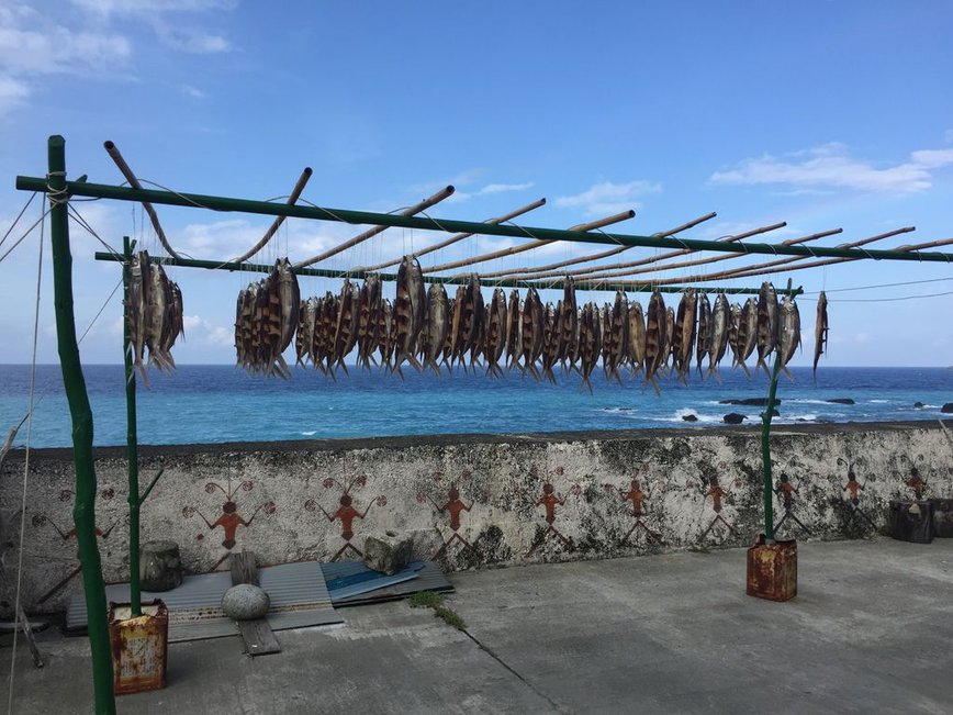 2018年盛夏🚢蘭嶼打工換宿1個月