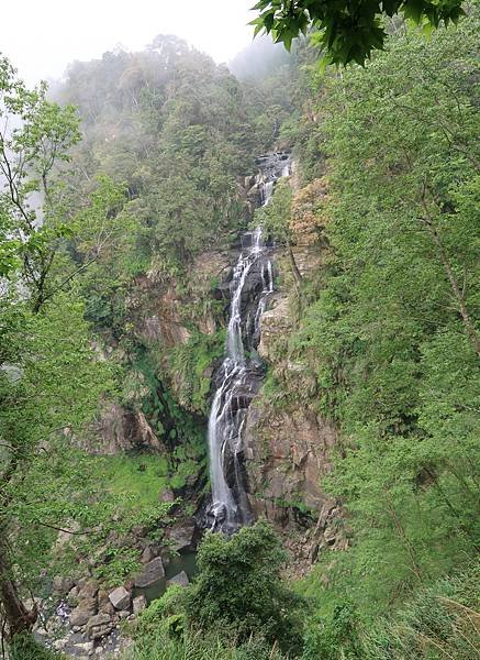 森呼吸漫遊杉林溪樂園森林浴&amp;樹德半山夢工廠感性之旅(二)
