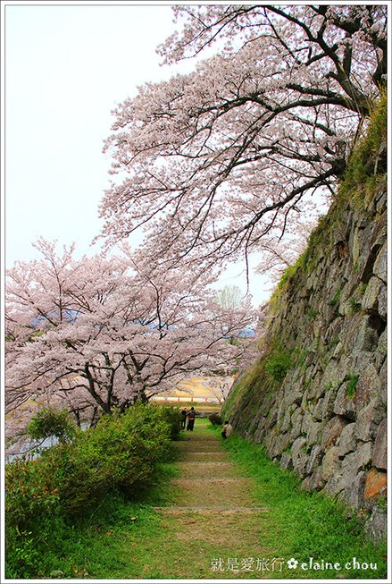 篠山城跡23.jpg