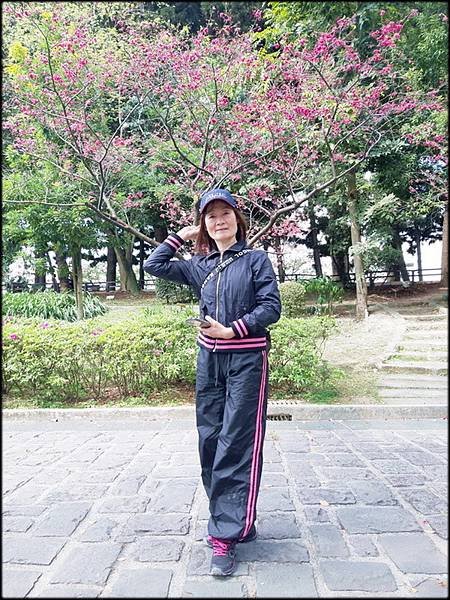 中正紀念堂賞櫻_024.jpg