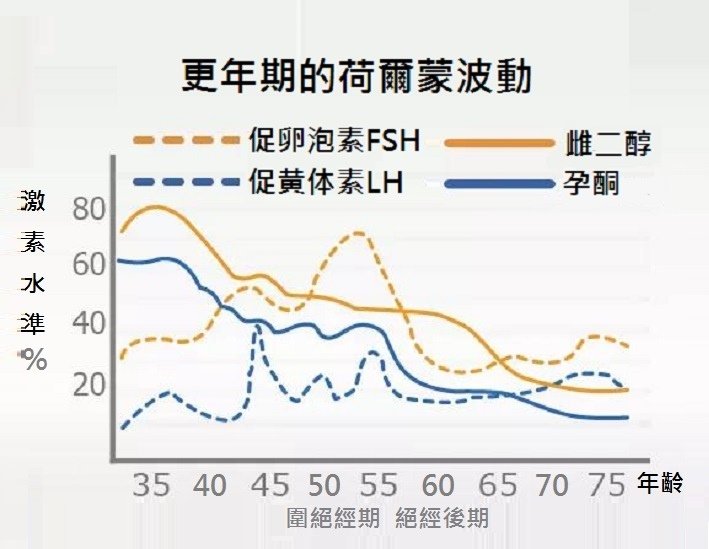 雌二醇的種類與比較 （雌激素佔據受體細胞 介導）