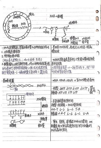 新建檔案 2020-02-13 20.53.08_2.jpg