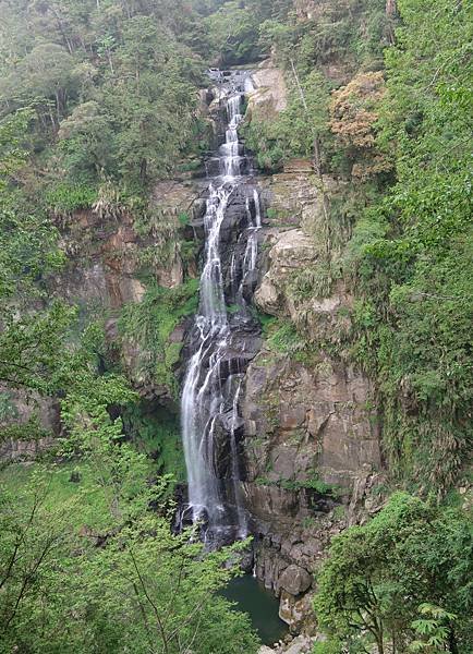 森呼吸漫遊杉林溪樂園森林浴&amp;樹德半山夢工廠感性之旅(二)