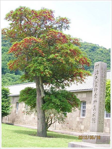 鹿兒島、宮崎五日遊-〈2〉_0182.jpg