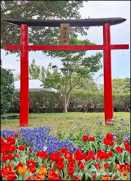 2025士林官邸鬱金香花展_028.jpg