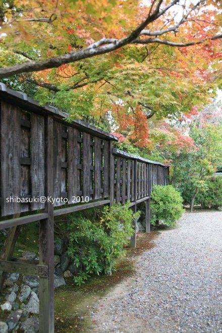 20101118_Kyoto-177_松巖寺(天龍寺塔頭)_1.JPG