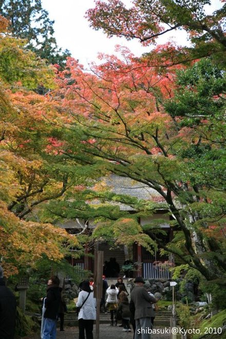 20101118_Kyoto-41_常寂光寺_1.JPG