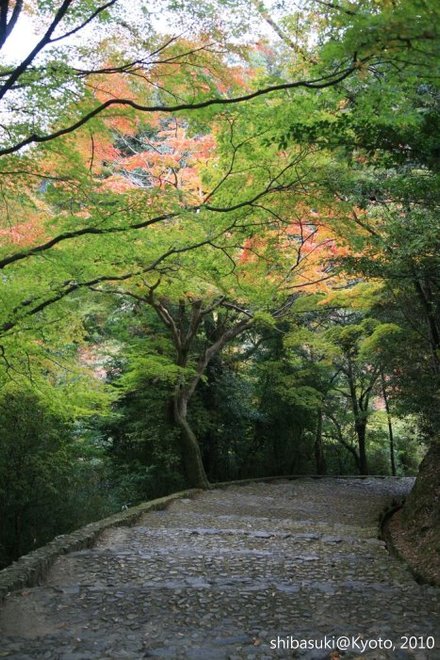 20101118_Kyoto-124_龜山公園_1.JPG