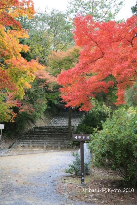 20101118_Kyoto-127_龜山公園_1.JPG