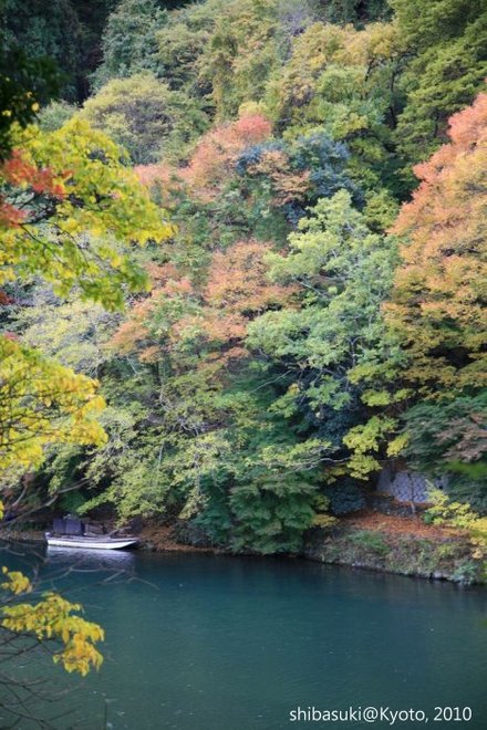 20101118_Kyoto-133_龜山公園_1.JPG