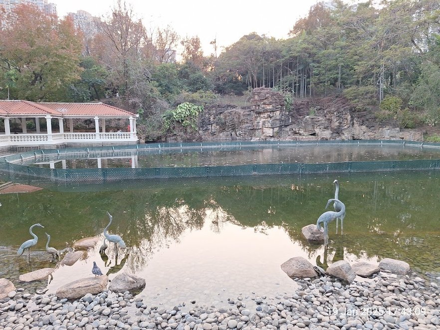 電影欣賞之《少年日記》及到青衣公園休憩😅🤣😂