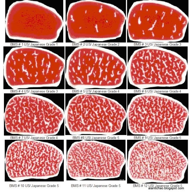 Beef Marbling Standards