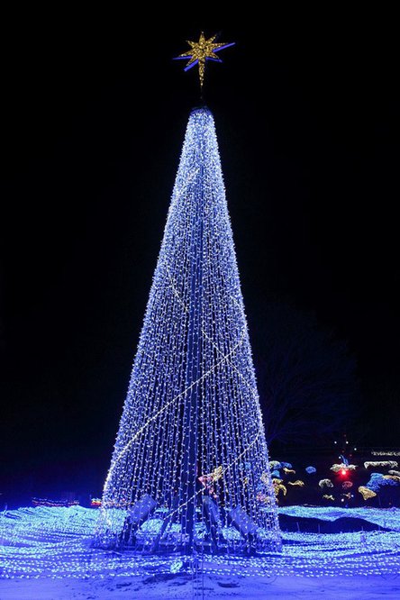 25904789_32776.jpg
