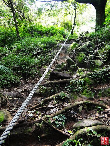 大屯主峰連峰步道 (54).jpg