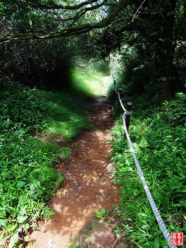 大屯主峰連峰步道 (75).jpg