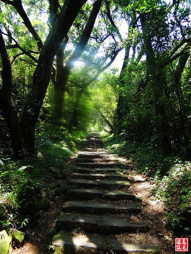 大屯主峰連峰步道 (87).jpg