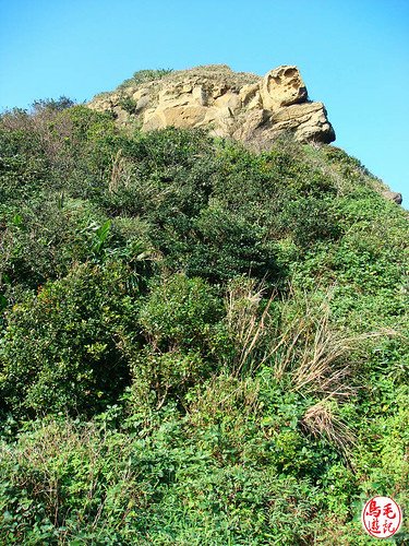 潮境公園強登海岸山 (39).jpg