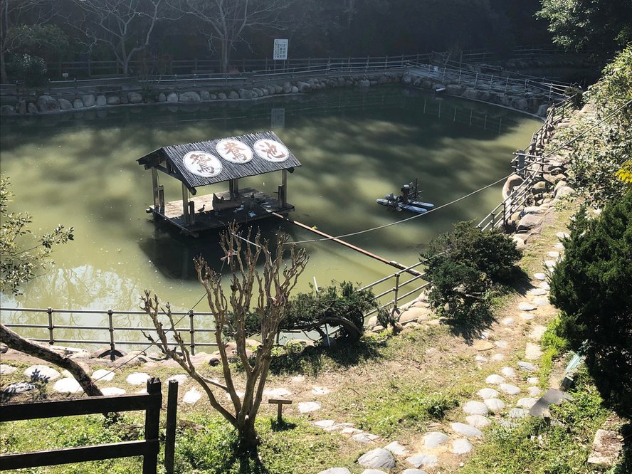 鴛鴦池3.jpg