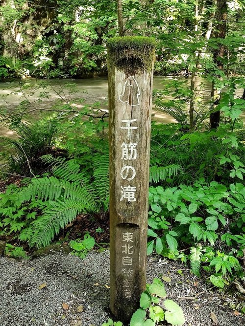 20230713_04 奧入瀨溪 25s.jpg