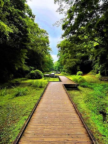 君津市 濃溝瀑布·龜岩洞窟 龜山湖