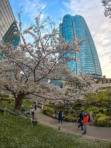 ▌東京 Day2 ▌散步六本木 : 六本木之丘、毛利庭園、朝