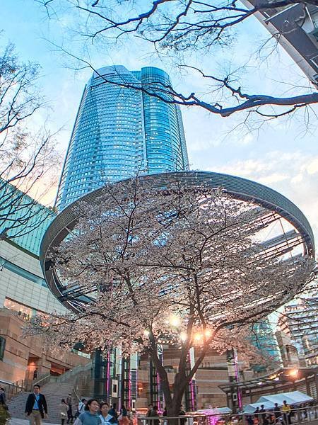 ▌東京 Day2 ▌散步六本木 : 六本木之丘、毛利庭園、朝